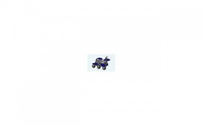 沙苑子配菟丝子泡水喝的功效:探究它们的三大效果